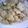 ｹﾛたん's cooksnap of when they made 鶏肉の青じそからめ焼き.