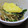 ろびんキュー's cooksnap of when they made 簡単　ニラともやしのオイスターソース炒め.