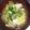 ムーミン☆ママ's cooksnap of when they made 白菜とぶなしめじの味噌汁★.