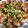 USACO66's cooksnap of when they made トマトとほたてのマリネ.