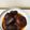 マコミコ's cooksnap of when they made 含め煮.