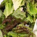 mantacarp's cooksnap of when they made 働くママ応援レシピ⁈レタスの保存方法.