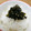アリスニャ's cooksnap of when they made 簡単ご飯のお供☆生ワカメの佃煮→黄金比♪.