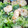 クックK6K9U9☆'s cooksnap of when they made [簡単]マヨdeエビマヨ(極みver.).