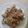 ねこしー's cooksnap of when they made 薄切り豚ロースの甘口にんにく生姜焼き肉.