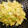 たきぴ's cooksnap of when they made 簡単！レタスと納豆とチーズの卵炒め.