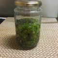 ふわふわふわふわ's cooksnap of when they made 春が来た！蕗の薹の万能オイル漬け.