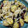 はるはる★☆'s cooksnap of when they made もやしとなすのさっぱりサラダ.