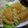 オマールえび子's cooksnap of when they made ♡ツナとマカロニの、グレフルサラダ♡.