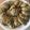 Yokchina's cooksnap of when they made ChocolateChip Cookie.