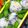 nosso's cooksnap of when they made 美味しい♪ゆかりチーズ混ぜごはん.