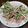 tekitoｰさん's cooksnap of when they made 水菜ときゅうりの明太マヨサラダ.