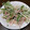 tekitoｰさん's cooksnap of when they made 水菜ときゅうりの明太マヨサラダ.