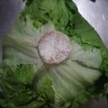 ＲＥＴＳＵＡ．Ｔ's cooksnap of when they made いつもｼｬｷｼｬｷに！ﾚﾀｽ保存.