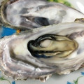 you6's cooksnap of when they made 簡単☆殼つき牡蠣の魚焼きグリル焼き.