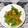 クックZABSOT☆'s cooksnap of when they made 十六ささげのゴマ和え.