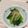 はっぴーゆりもん＊'s cooksnap of when they made 火を使わないレンジで小松菜おひたし.