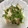 いそiso's cooksnap of when they made 長芋とツナとカイワレ大根の簡単サラダ☆.