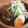 ruricom's cooksnap of when they made 簡単本格味噌ラーメン.