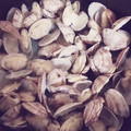 はるなぎママ's cooksnap of when they made 簡単！　あさりとほうれん草のバターいため.