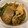 MICHI☆☆☆'s cooksnap of when they made カレイの煮付け.