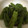 んりおか's cooksnap of when they made ししとうの甘辛炒め.