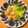 ボブナナ's cooksnap of when they made 帆立のバターソテー.