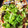 てれさん05's cooksnap of when they made トマトと豚と卵のぴり辛中華野菜炒め.