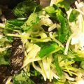 たてえり。's cooksnap of when they made 大根と三つ葉の柚子胡椒サラダ.