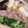 ﾌﾞﾚﾝﾀﾞ's cooksnap of when they made お鍋の野菜の切り方☆しゃぶしゃぶ用！.