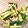 クックJB29SR☆'s cooksnap of when they made あと１品鶏皮とキュウリのからし醤油和え♪.
