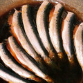 クックDAD's cooksnap of when they made イワシの煮付け.