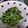 4double5's cooksnap of when they made 菜っ葉のゴママヨ和え♡美味しい茹で方♪.