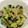 クックGNI14H☆'s cooksnap of when they made 簡単⭐きゅうりとささみのサラダ.