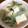 takco's cooksnap of when they made 簡単☆水菜と豆腐の和風スープ.