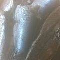 ジャイコの台所's cooksnap of when they made 圧力鍋deいわしの甘露煮★節分にも…。.
