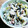 あい殿's cooksnap of when they made ひじきのマヨマヨサラダ.