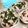 shun_rio's cooksnap of when they made ストックでわかめとハムのサラダ。.
