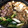 ふなちゅん's cooksnap of when they made 簡単すぎて美味しい★すき焼きの割下.