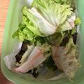 mantacarp's cooksnap of when they made 働くママ応援レシピ⁈レタスの保存方法.