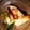 eryoasu's cooksnap of when they made ブリと長ねぎの照り炒め.