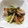 10000kcal's cooksnap of when they made 簡単1品あさりとキャベツのバターで酒蒸し.