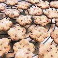 パグカップ's cooksnap of when they made 【ノンオイル】☆サクサクチョコクッキー☆.