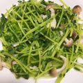 のりクック417's cooksnap of when they made 豆苗のガーリック炒め.