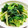 ☆★あんず姫★☆'s cooksnap of when they made ほうれん草とﾌﾞﾛｯｺﾘｰのごまマヨ和え.