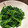 ☆さっちー☆☆'s cooksnap of when they made 春を感じる一品菜の花のからし和え.