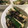 クックVNZV99☆'s cooksnap of when they made 長芋とキュウリの和え物.