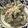 クック4HYXYY☆'s cooksnap of when they made 混ぜるだけ！おからの簡単サラダ.