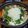 や～たん食堂's cooksnap of when they made 鶏みぞれ鍋♪ゆず胡椒味.