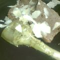 をひめ's cooksnap of when they made アーティチョークのガーリック蒸し煮.